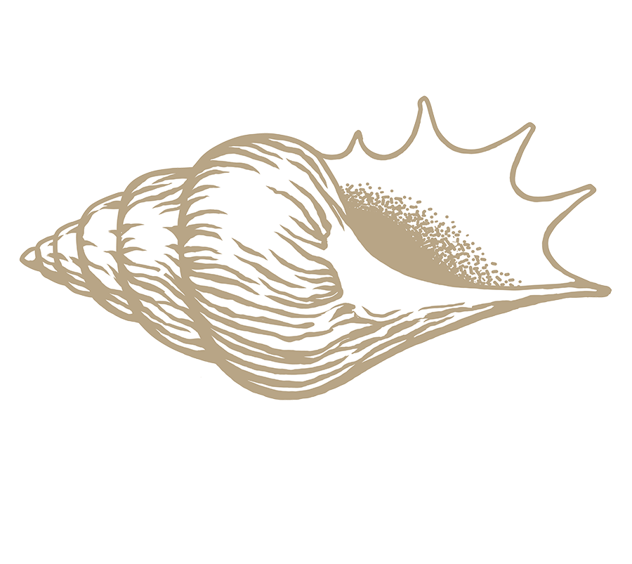 Pour accompagner au mieux la femme dans cette étape je propose un accompagnement par hypnose complet