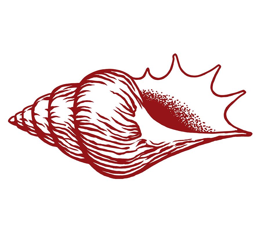 Pour accompagner au mieux la femme dans cette étape je propose un accompagnement par hypnose complet